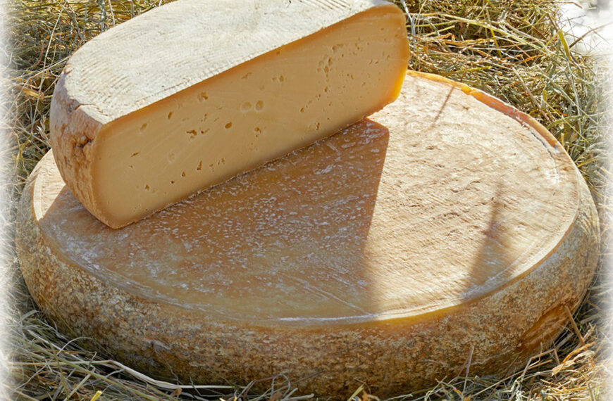 Scopriamo insieme la Casatta di Corteno Golgi: una perla casearia della Val Camonica 🧀🎉