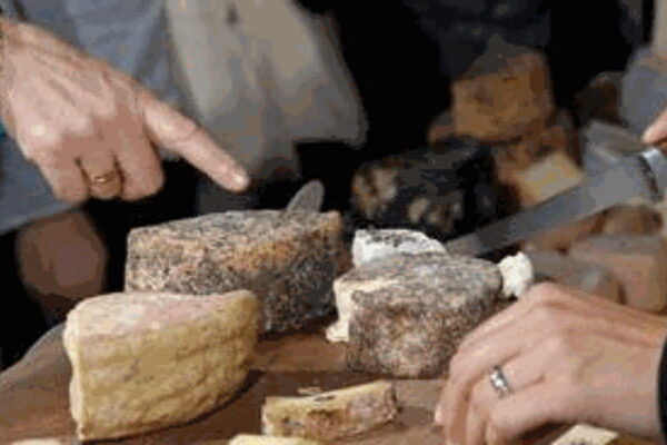 Formaggi da Sogno: l’Arte dei Formaggi Affinati.