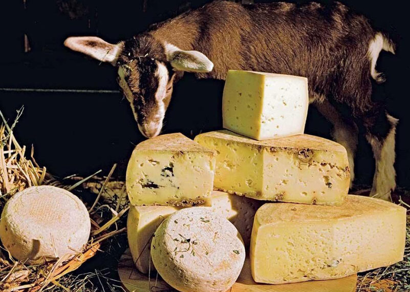 Il formaggio che non sta mai fermo.