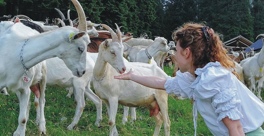 Caprino, mito e magia 🐐